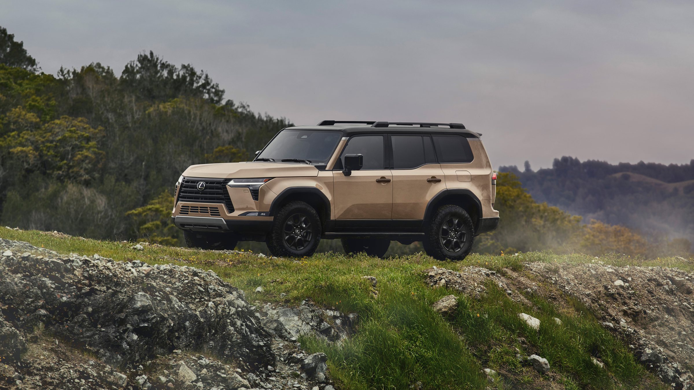Lexus GX Overtrail in sand beige on a grassy ridge above open country