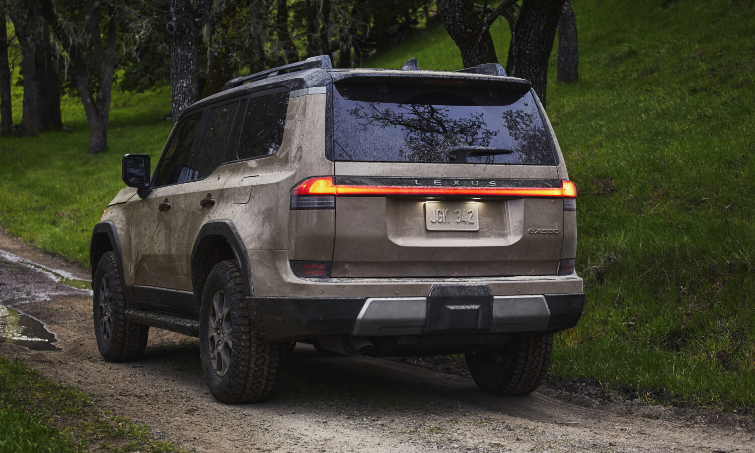A Lexus GX Overtrail seen from behind on a wet dirt track running through oak trees