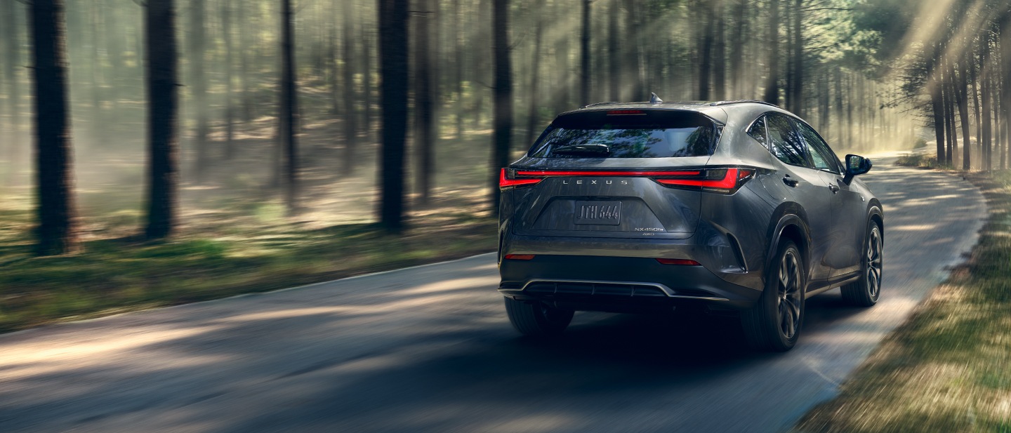 A gray Lexus NX hybrid on a tree-lined road, the same body as the gas NX in the film above