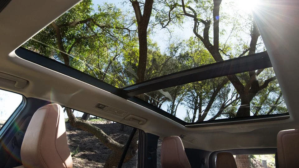 Looking up through the Lexus TZ panoramic roof at trees and sunlight